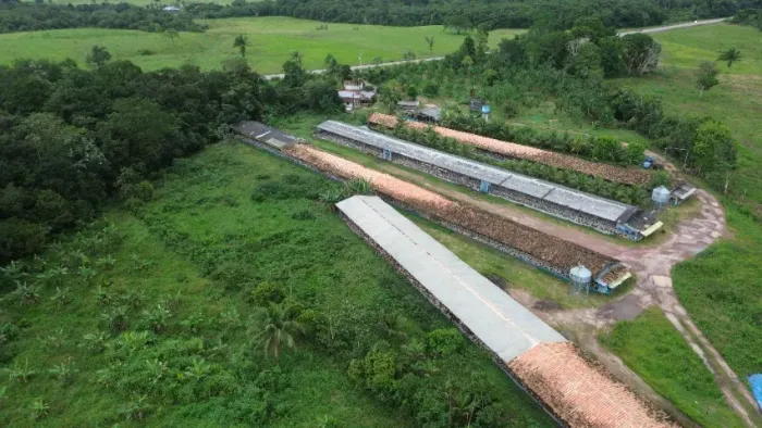 granja pra 36 mil bicos 66 hectares por 2.500.000,00 há 50 km de Belém
