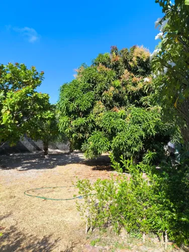 Terreno no condomínio Vivenda dos Ramalhetes com 422m²