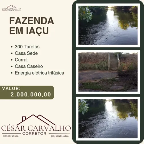 FAZENDA EM IAÇU - 300 TAREFAS