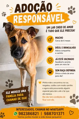Doação de animal