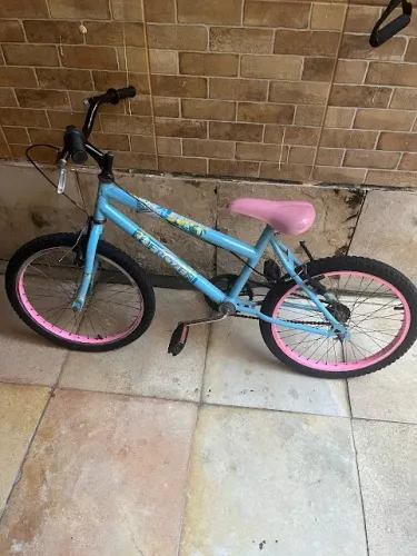 Bicicleta Aro 20 - Feminina