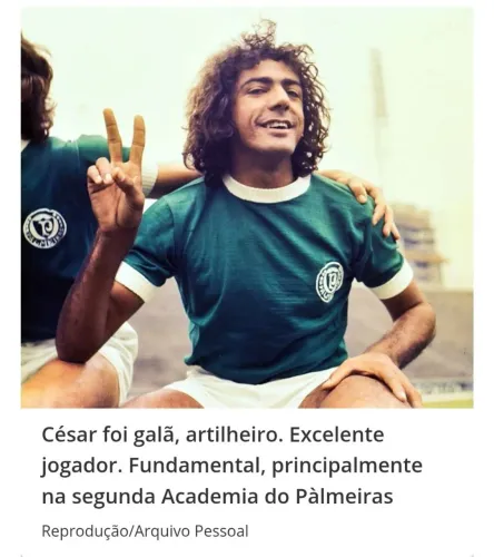 Camisa Palmeiras colecionadores Rara anos 60/70
