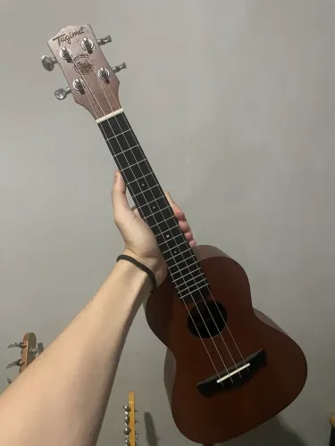 Ukulele Tagima Concert