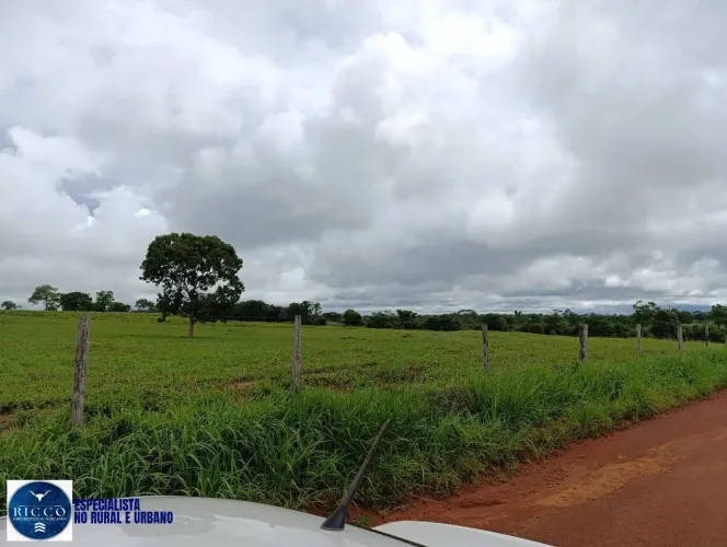 Fazenda à Venda em Araguaçu TO | 1.500 Alqueires | Estrutura Completa
