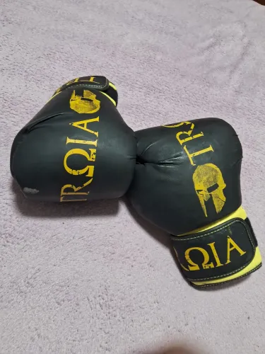 Par de Luvas Tróia - Lutas Boxe Muay Thay - Usado