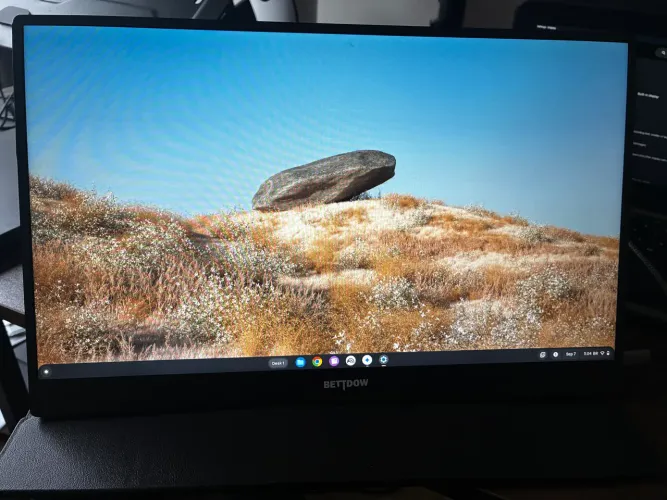 Monitor portátil bettdow 15.6