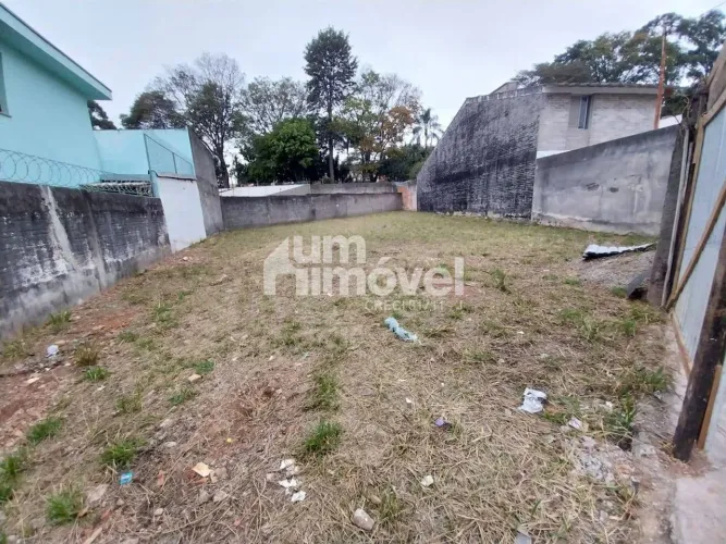 Oportunidade de Investimento: Terreno Plano com 480m² Jardim da Saúde Próximo da Av. Cursi