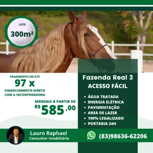 FAZENDA REAL 3 - PREÇO DE OPORTUNIDADE