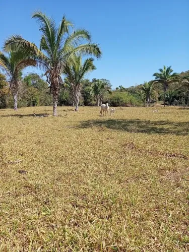 Imóvel rural, 400 m² no Área Rural em Minaçu
