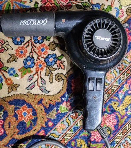 Secador de cabelo profissional Pro3000