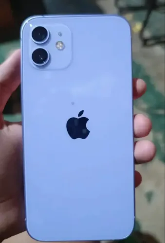 iPhone 12 Roxo em Perfeitas condições