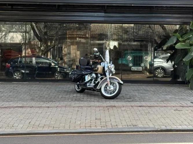 HARLEY-DAVIDSON FLSTC 2014