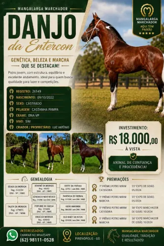 Cavalo manga larga