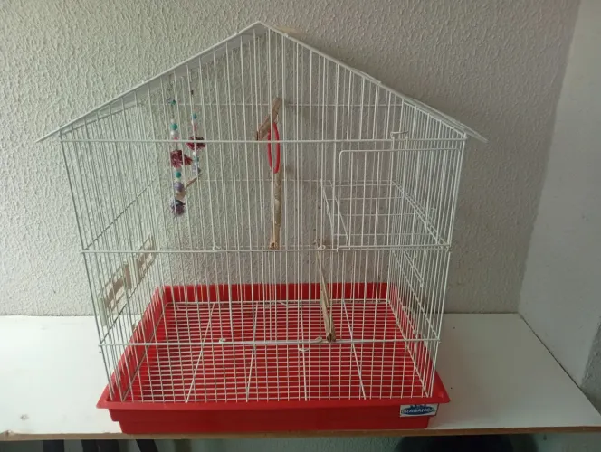 Gaiola para calopsita
