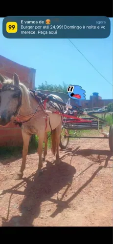 Charrete