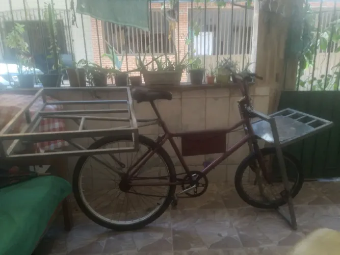 Bicicleta cargueira
