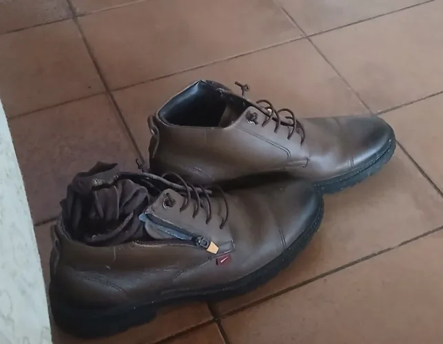 Bota facini