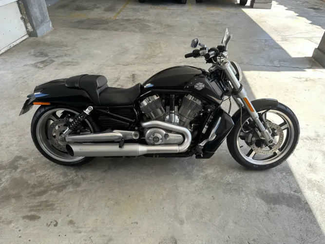 Harley VROD Muscle 2015