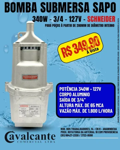 Bomba Sapo Vipo-750 127v Schneider