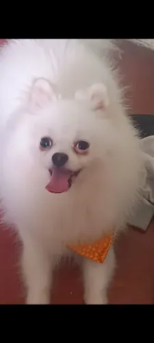Luluzinha 5 Mês 