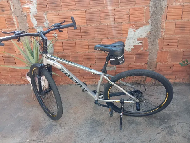 Biscicleta 