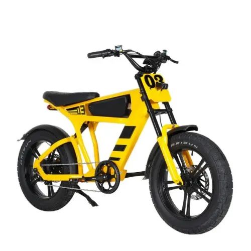 Bicicleta Elétrica FT-03 1000W em Alumínio