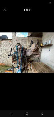 Sela quarto de milha completa