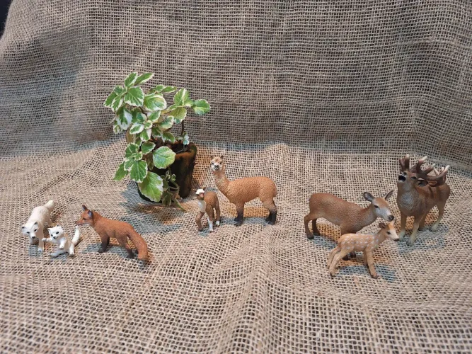 Brinquedo - Animais selvagens - SCHLEICH