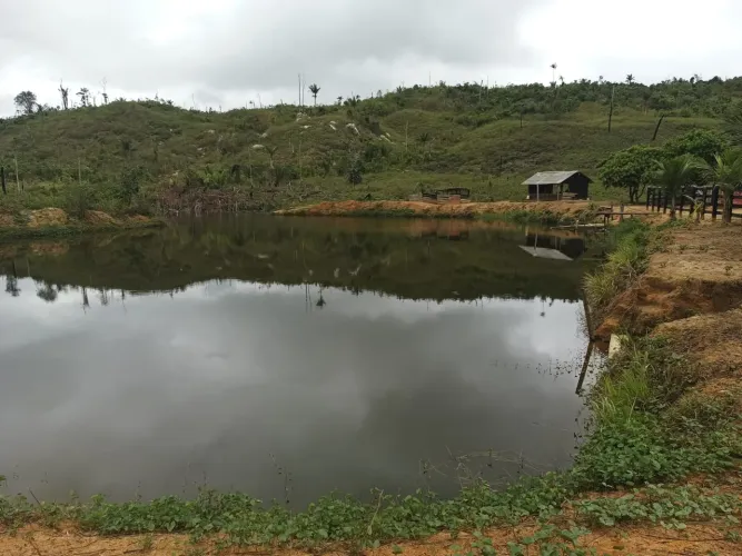 ARRENDAMENTO VENDA TROCA FAZENDA