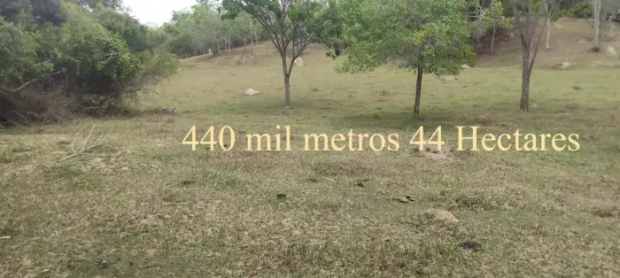 Terreno em Claudio MG Ótimo para plantações diversas. ou gado 44 hectares 440 mil metros -