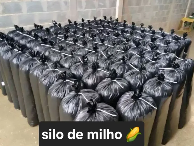 Silo de Milho no INCRA 6