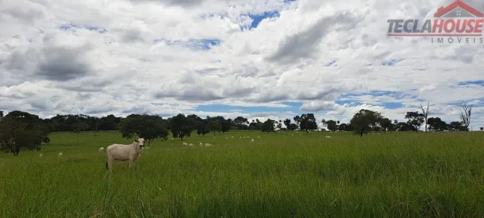Fazenda com 6 dormitórios à venda, 2180000 m² por R$ 10.000.000 - Zona Rural - Campina Ver