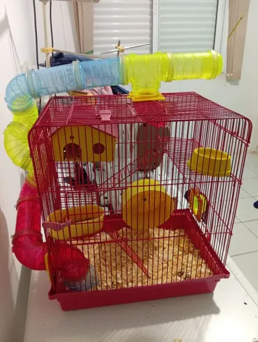 Vendo gaiola pra hamister