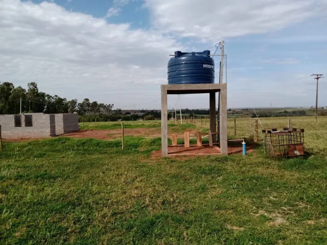 Chácara 2.500m² em Cianorte - Água, Luz e Mamão em Produção