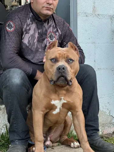 Pit monster