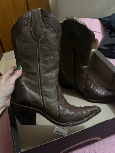 Bota