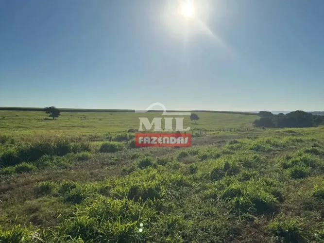 Fazenda 330 Alqueires (1.597 Hectares) Quirinópolis - Go