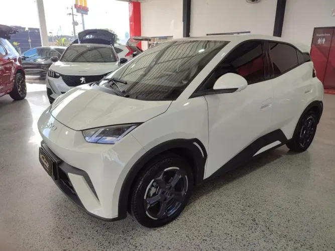 BYD Dolphin Mini (Elétrico) 2025