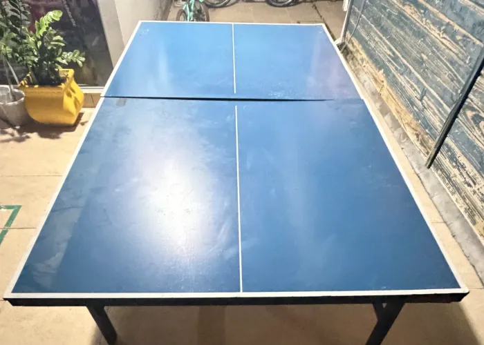 Mesa de ping pong adulto