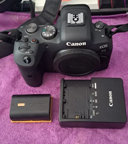 Canon EOS R6  6677 cliques