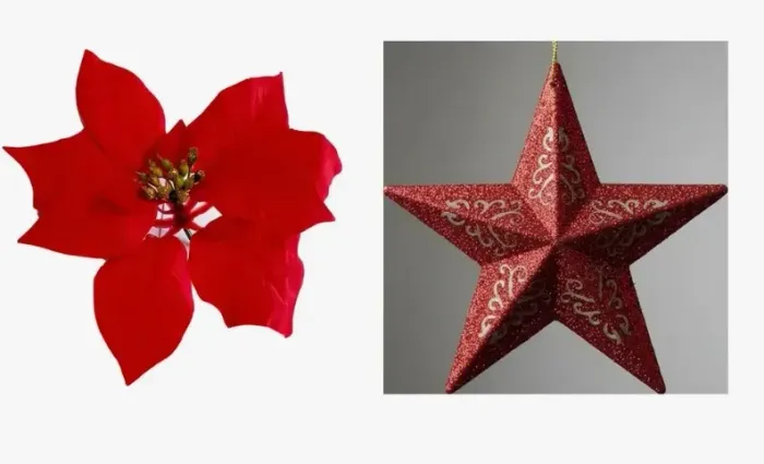 Enfeite de natal Flor e estrela
