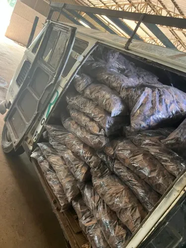 CASCA DE PINOS POLIDA PARA JARDIM E VASOS
