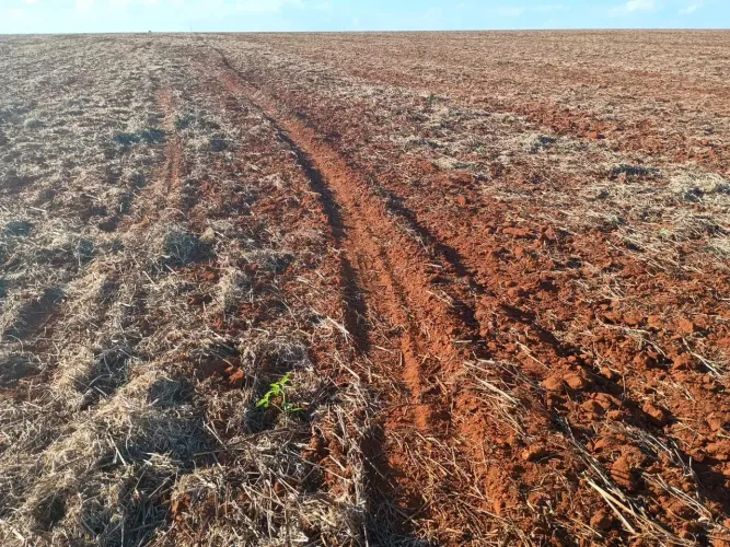 Fazenda extra a venda no Goiás!!!