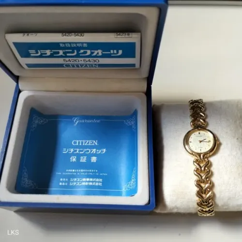 Relógio Citizen feminino (Made in Japan).