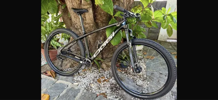 BIKE MTB OGGI CARBON Ageli Sport