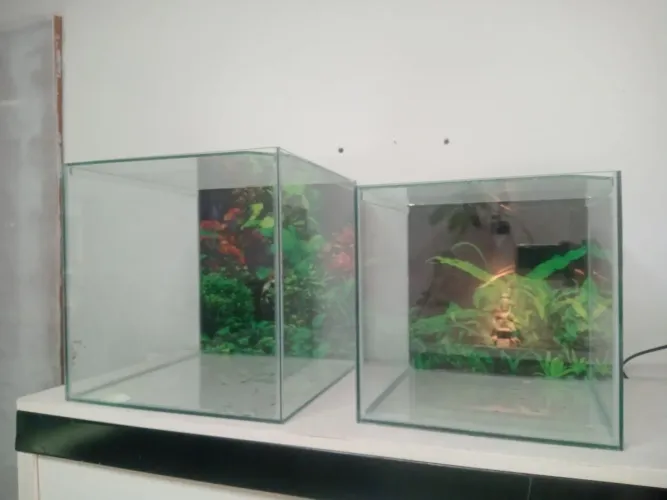 Aquários cubos á venda Novo !