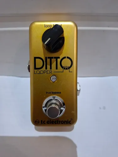 Pedal Ditto Looper Gold Loop station