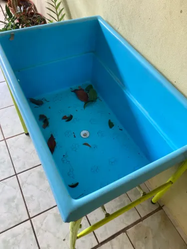 Banheira para pet
