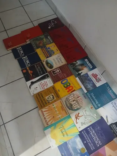 Lote com 60 livros variados