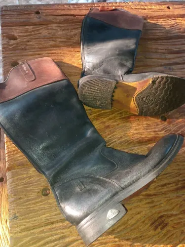 Bota hipismo